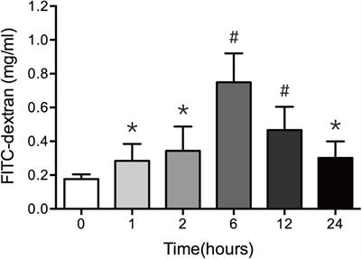 Severe Burn-Induced Intestinal Epithelial Barrier Dysfunction Is Associated With Endoplasmic Reticulum Stress and Autophagy in Mice